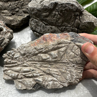 Đá da voi trang trí thủy sinh 1kg