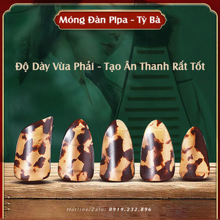 Móng gảy đàn pipa - tỳ bà chất lượng tặng kèm băng keo
