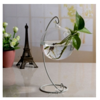 Bình thủy tinh bể cá trồng cây tặng kèm đá mầu trang trí