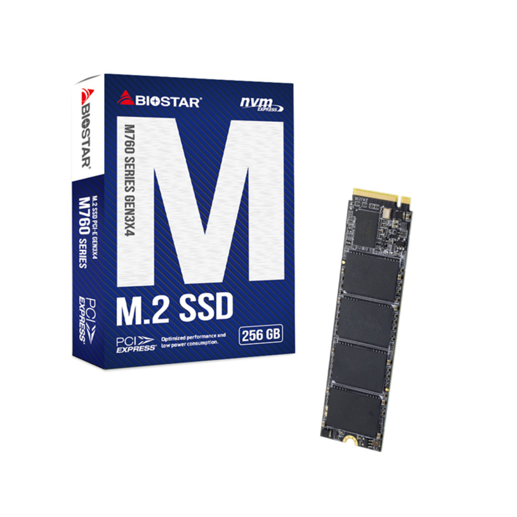 Ổ cứng M2 SSD Biostar 256Gb Nvme M760 Gen 3x4 Upto 3200/1300 Mbps - Hàng chính hãng