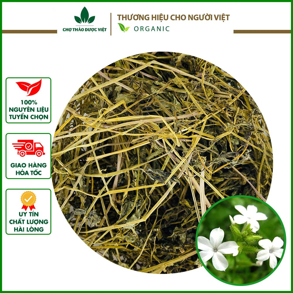 100gr Bạch Hoa Xà (Khô, Thơm, Sạch)
