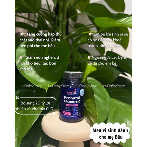 Men vi sinh dành cho mẹ bầu Love Bug Probiotics Prenatal Probiotic 30 viên