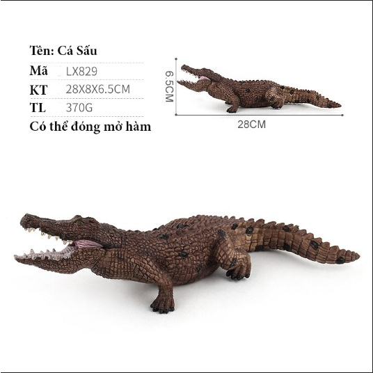 Mô hình Cá Sấu đầm lầy 4 mẫu cao cấp - Mô Hình Động Vật DINO