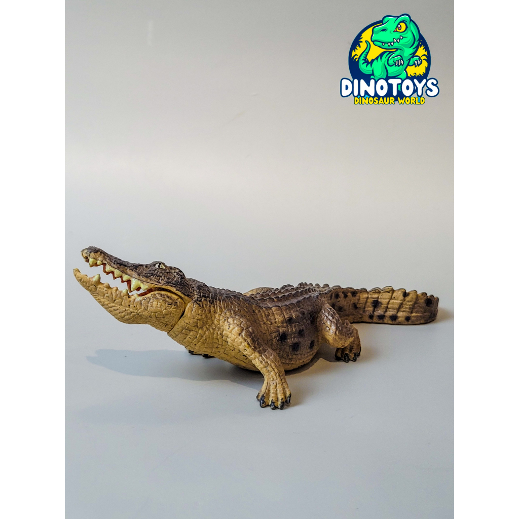 Mô hình Cá Sấu đầm lầy 4 mẫu cao cấp - Mô Hình Động Vật DINO