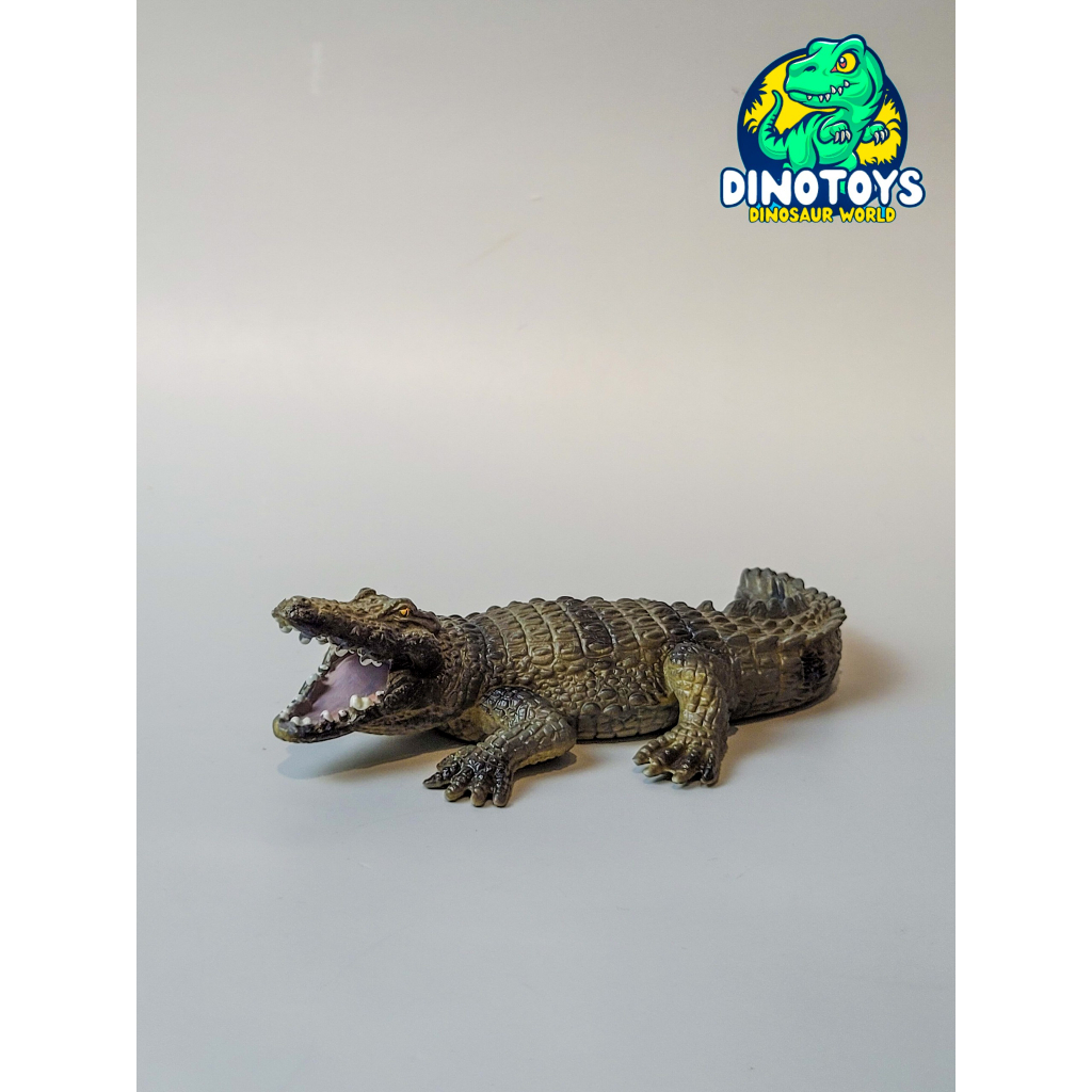 Mô hình Cá Sấu đầm lầy 4 mẫu cao cấp - Mô Hình Động Vật DINO