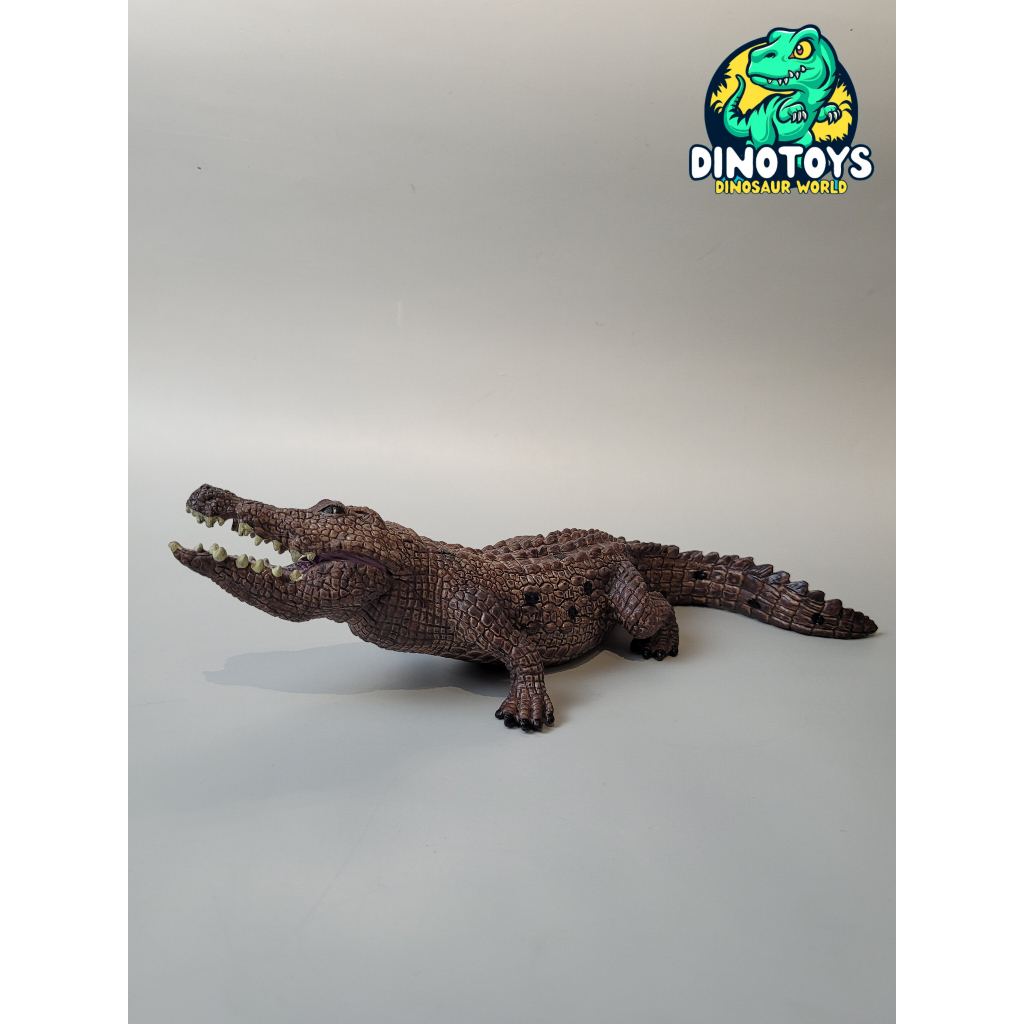 Mô hình Cá Sấu đầm lầy 4 mẫu cao cấp - Mô Hình Động Vật DINO