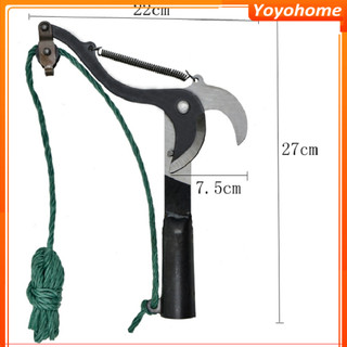 Kéo hái hoa quảkéo cắt cành trên cao