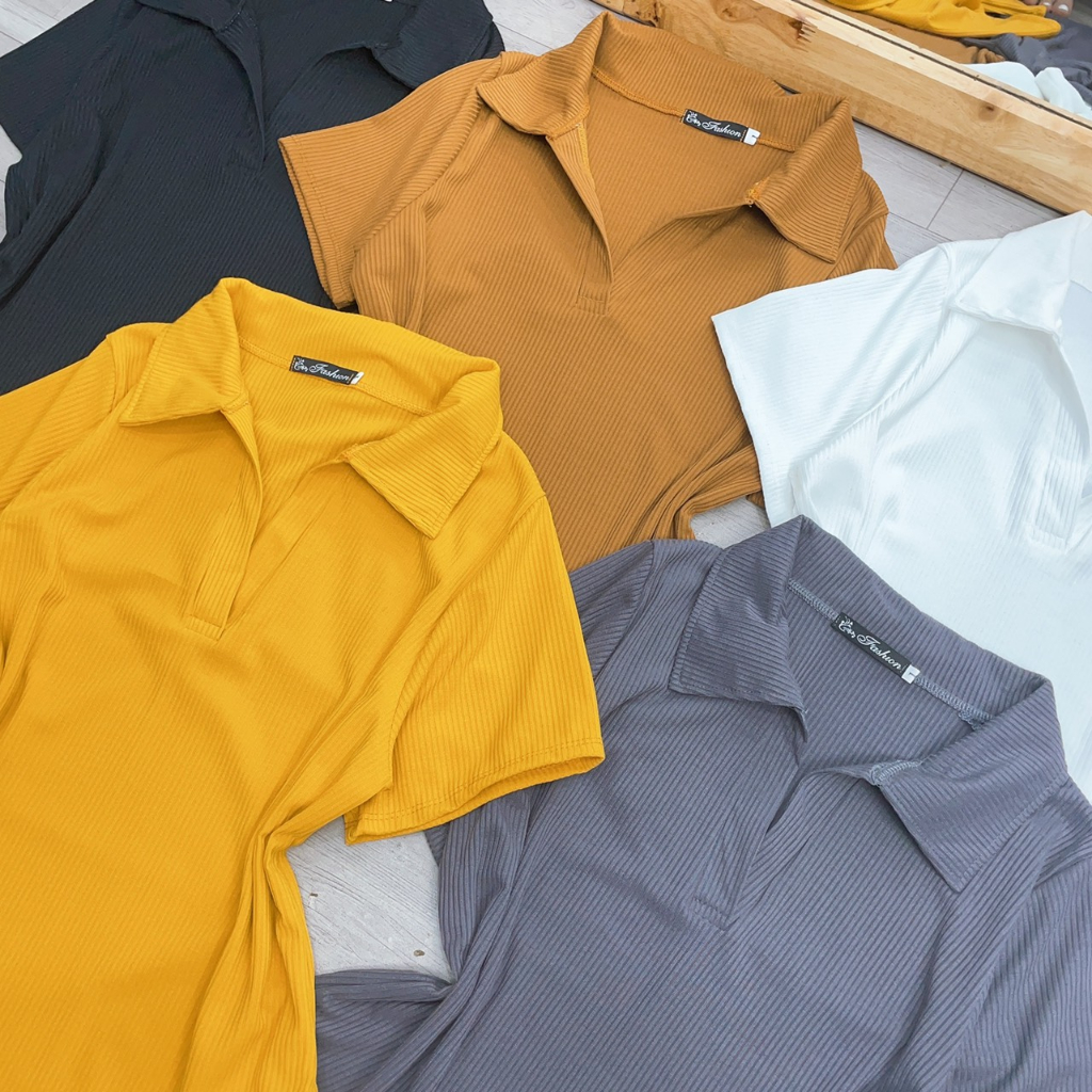 Áo Polo nữ freesize đến bigszie chất thun gân tắm co giản thoáng mát hút mồ hôi tay ngắn vạt bầu - G120