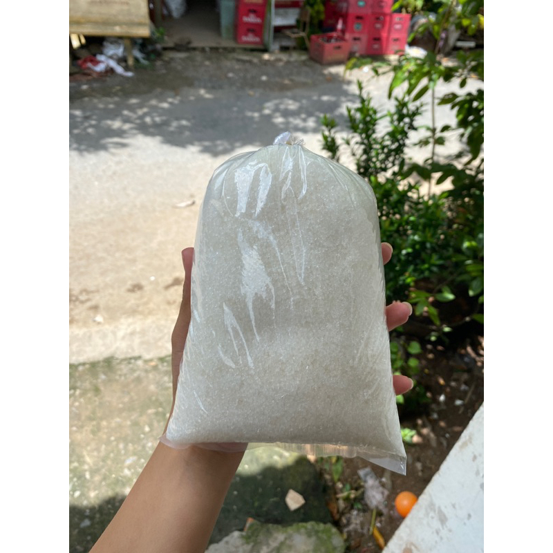 1kg đường hạt trung chiếc ra từ cây 12kg .
