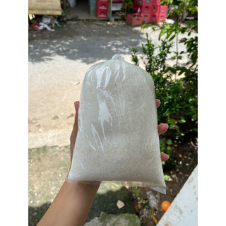 1kg đường hạt trung chiếc ra từ cây 12kg .