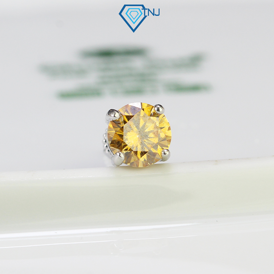 Khuyên tai nam kim cương Moissanite đá vàng 6ly xi bạch kim kiểm định GRA, phong cách cá tính BTAM0006 - Trang Sức TNJ