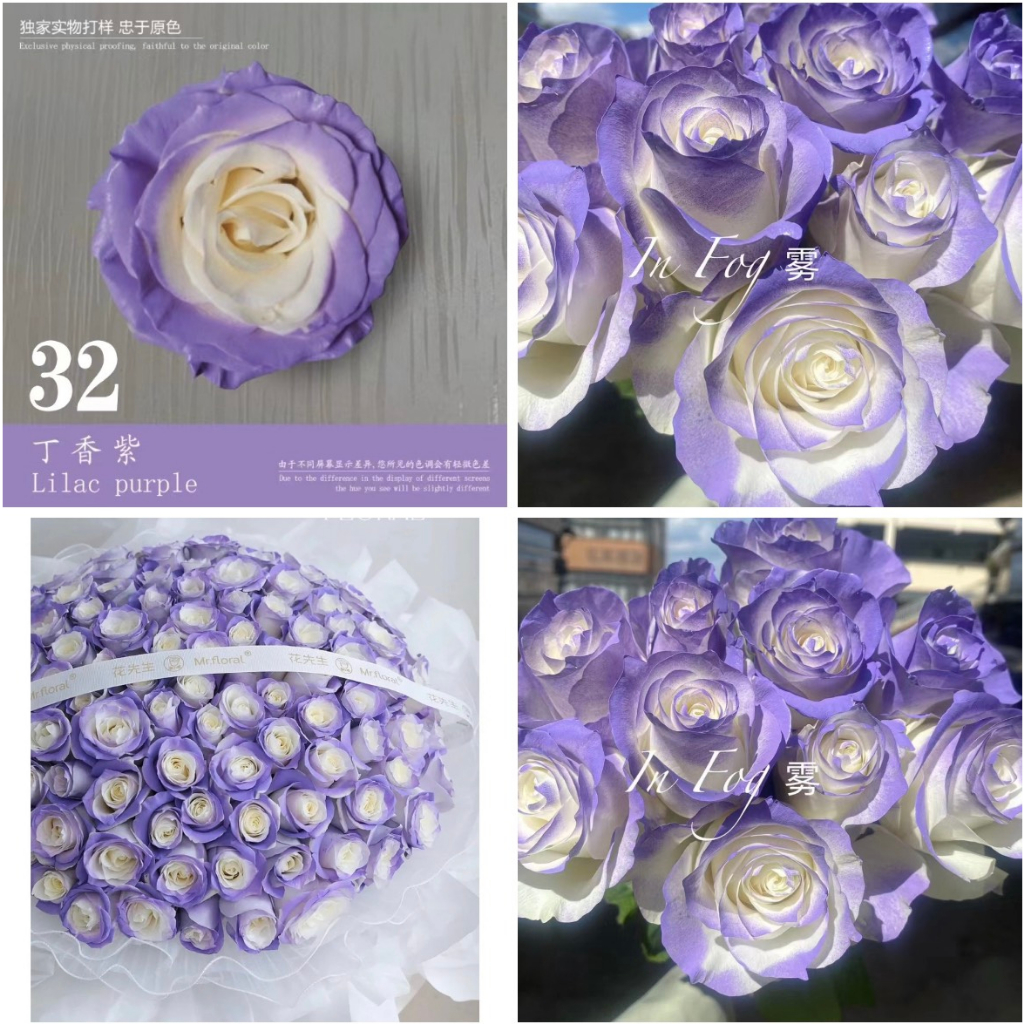 Sơn Xịt Hoa Tươi, hoa sáp, sen đá cao cấp 52 màu 450ml