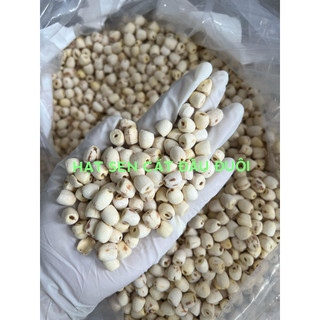 Hạt sen khô Đồng Tháp ngon 100g
