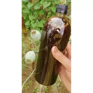 Mật ong đắng chuẩn sịn, mật ong 138 chính hãng