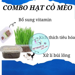 HẠT GIỐNG CỎ MÈO TƯƠI giảm búi lông 100g