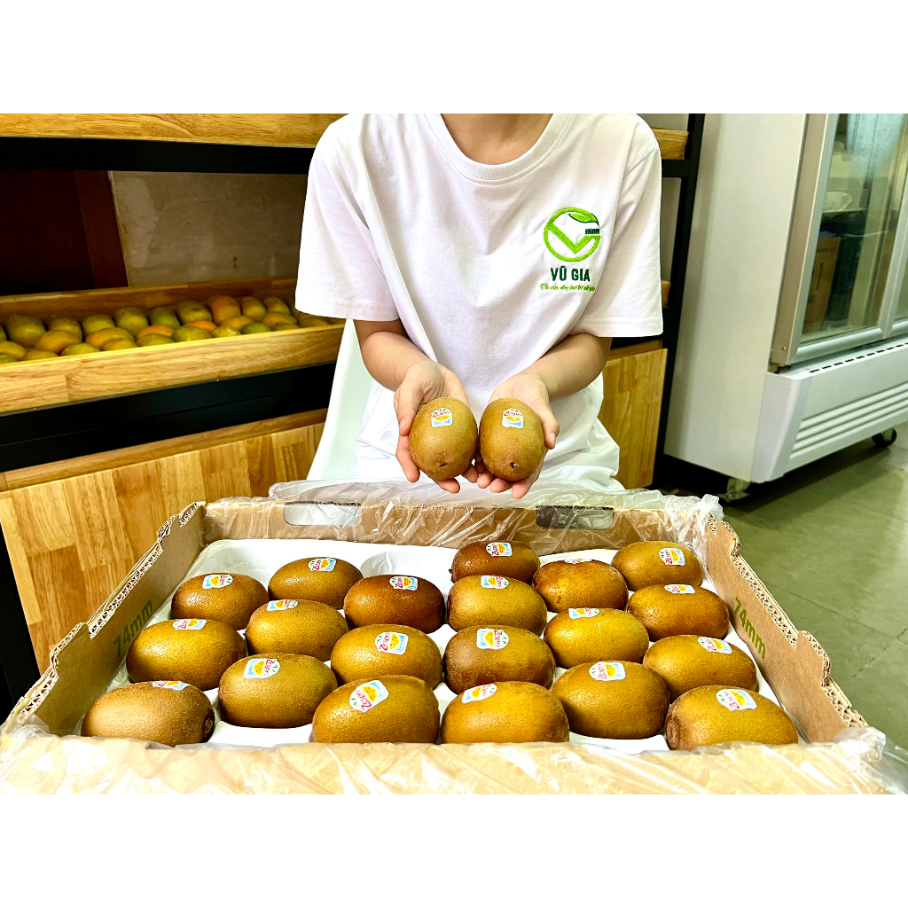 Kiwi Vàng Zespri New Zaeland - Vũ Gia Farm