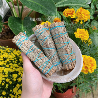 Xô Thơm Xanh (Blue sage)
