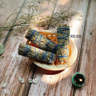 Xô Thơm Xanh (Blue sage)