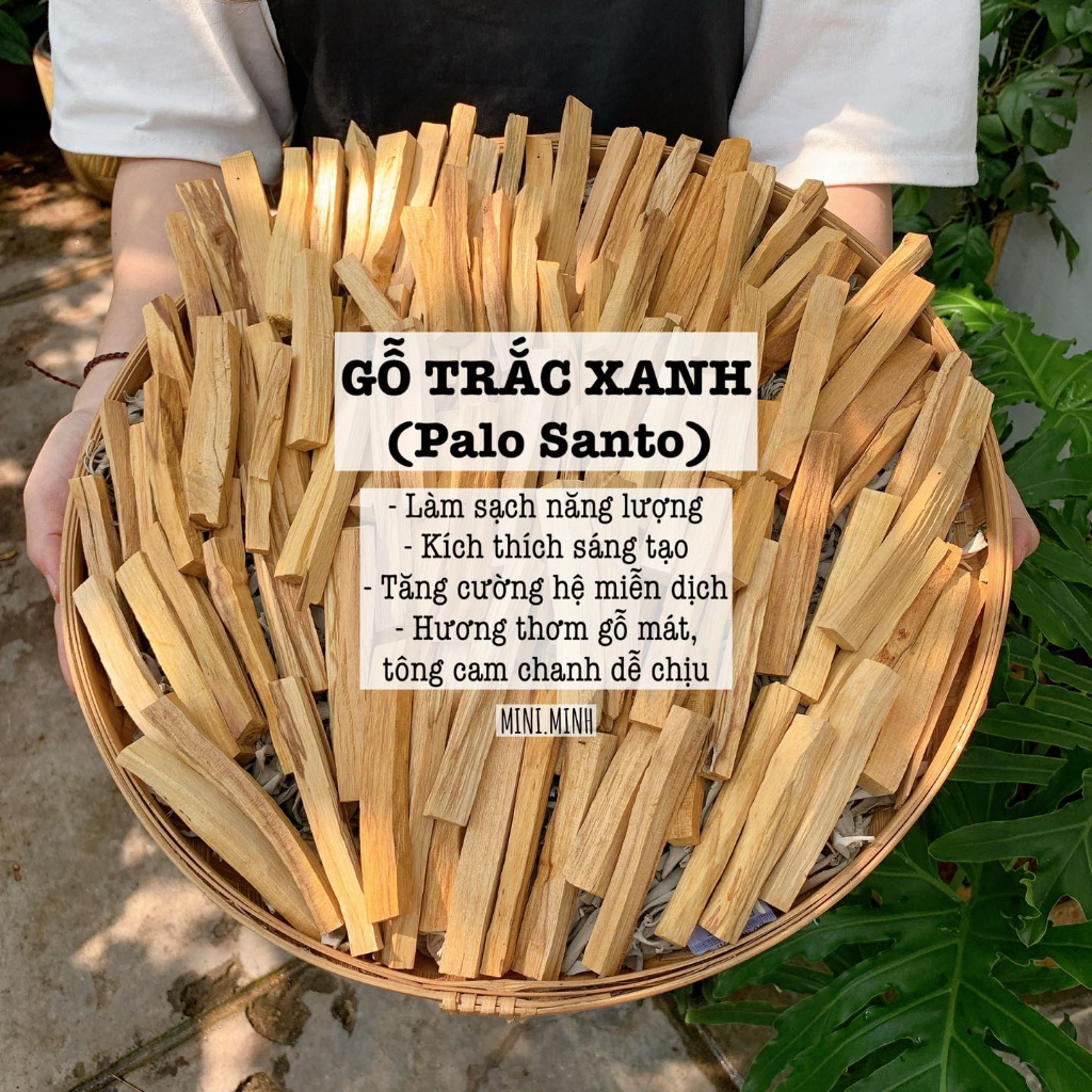 Gỗ Trắc Xanh (Palo santo)