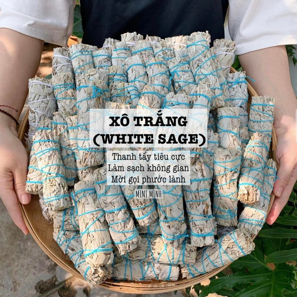 Xô thơm trắng (white sage)