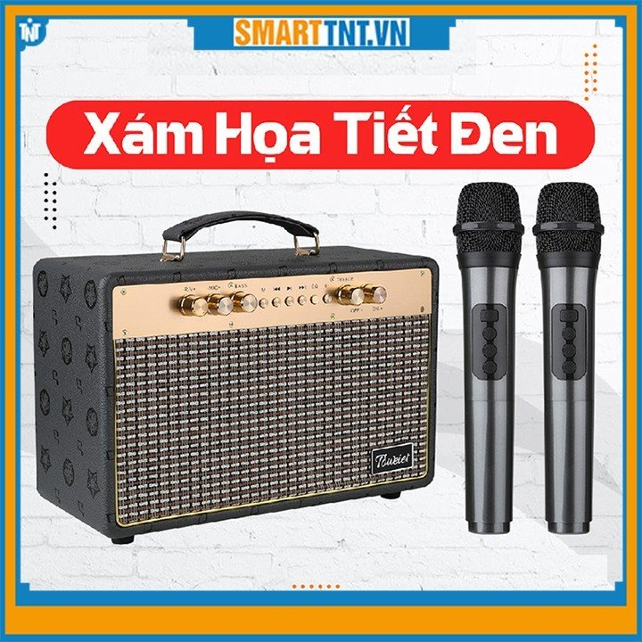Loa xách tay bluetooth Toweier TW-318 kèm 2 micro không dây hát karaoke