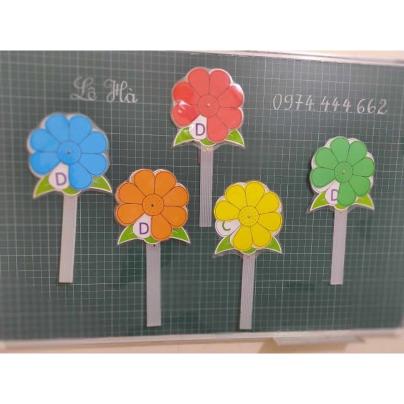 Combo 50 hoa trắc nghiệm 8 cánh