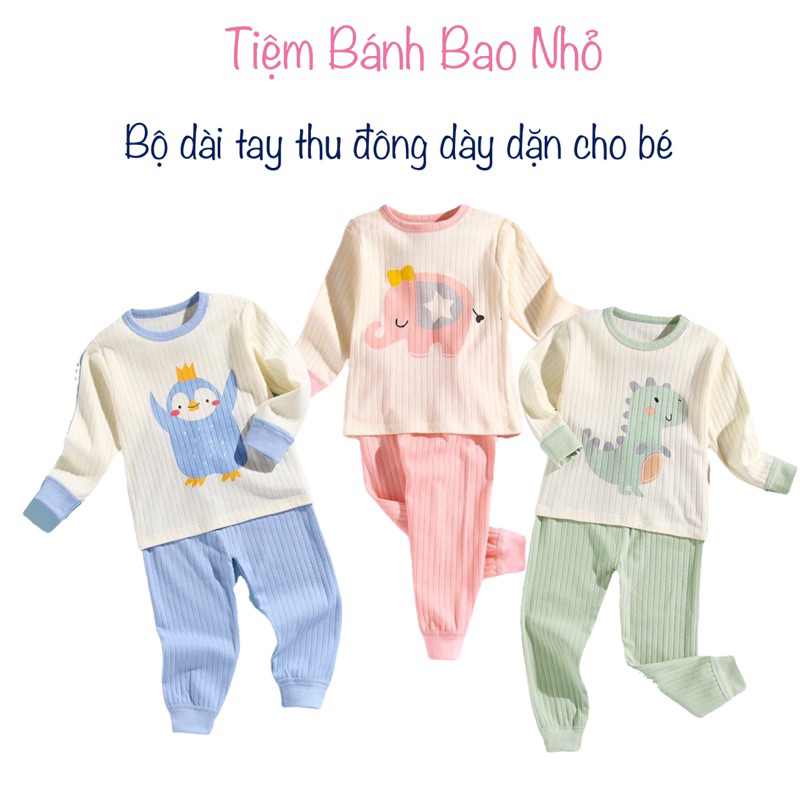 Bộ dài tay thu đông vải đẹp hàng Quảng Châu cao cấp