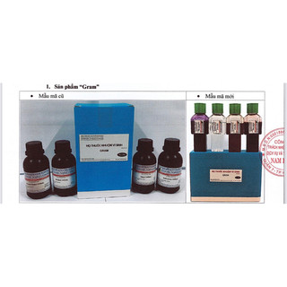 BỘ NHUỘM GRAM 100 ML