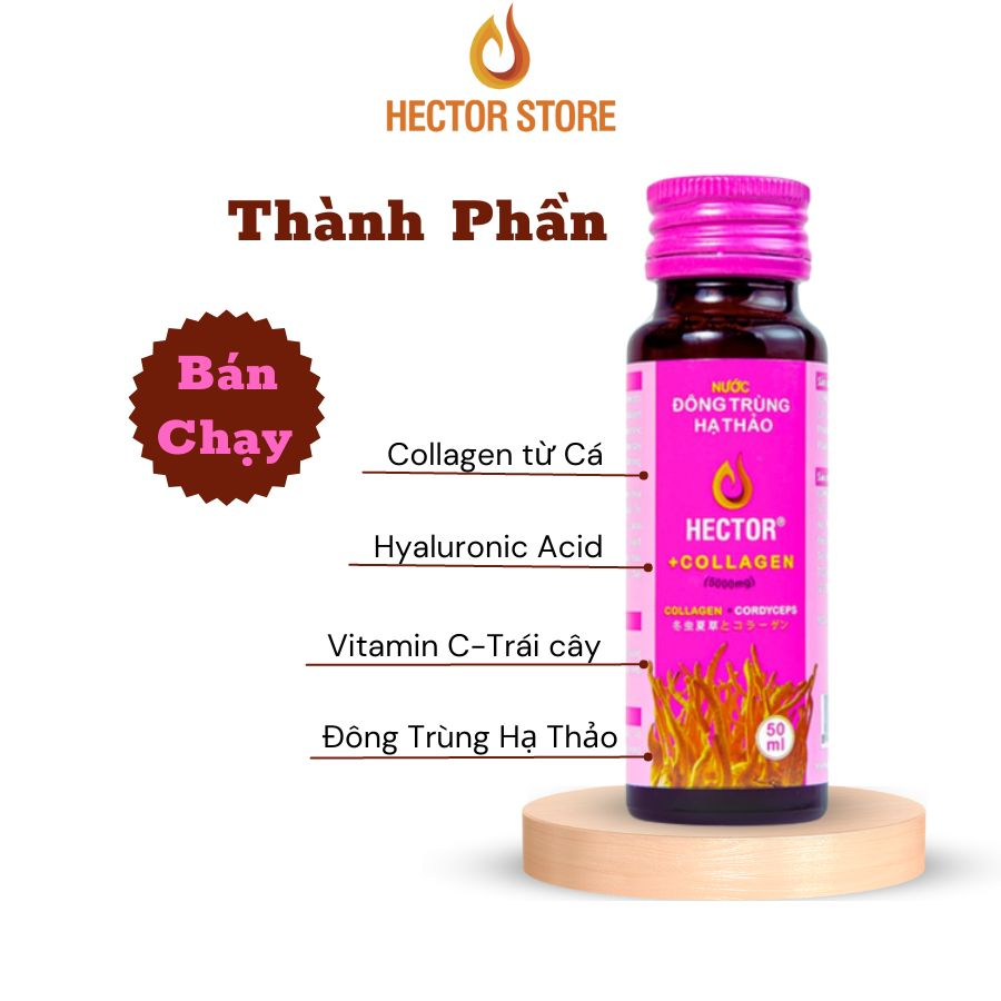 Collagen Đông Trùng Hạ Thảo Hector Sâm - Hector Store VN