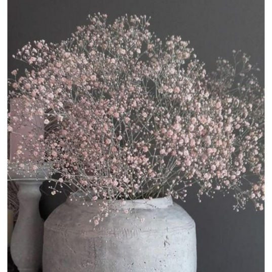 BÓ HOA BI, HOA SAO xinh xắn, làm quà tặng dễ thương, chuyên decor bình hoa, chậu hoa đẹp