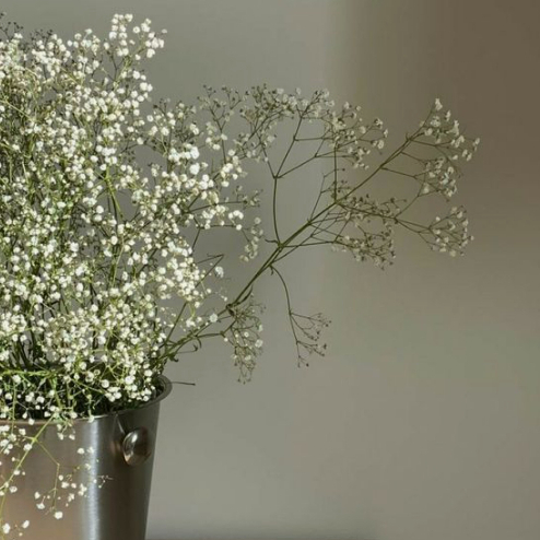 BÓ HOA BI, HOA SAO xinh xắn, làm quà tặng dễ thương, chuyên decor bình hoa, chậu hoa đẹp