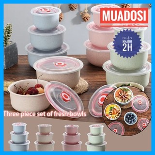 Combo 3 hộp đựng thực phẩm thức ăn lúa mạch có nắp đậy hút chân không
