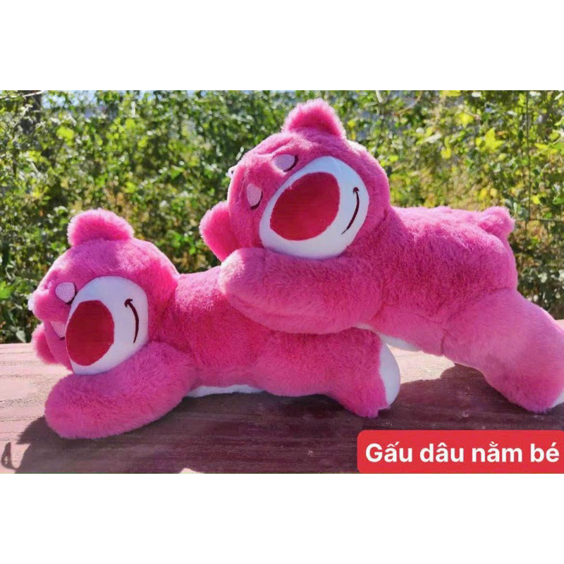 Gấu Bông, Gấu Dâu, Gấu Lotso Nằm Ngủ Hàng Bông Mịn Ú Nu Siêu Dễ Thương Mềm Mại