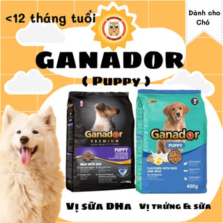 thức ăn hạt ganador chó con (vị trứng sữa và sữa DHA) 400g