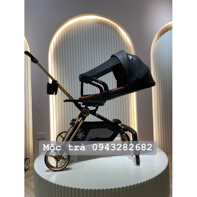 XE ĐẨY GẤP GỌN VINNG Q8 - UBEST Q8