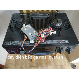 Dây điện bếp Gas Rinnai nút vặn nội địa Nhật