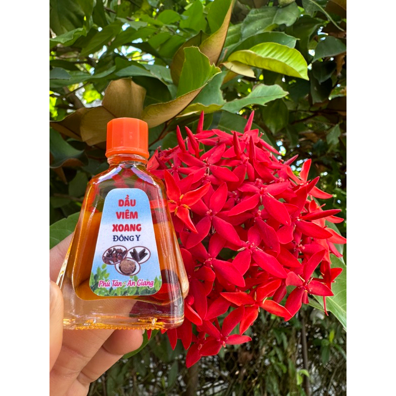 Dầu viêm xoang chai to 7ML