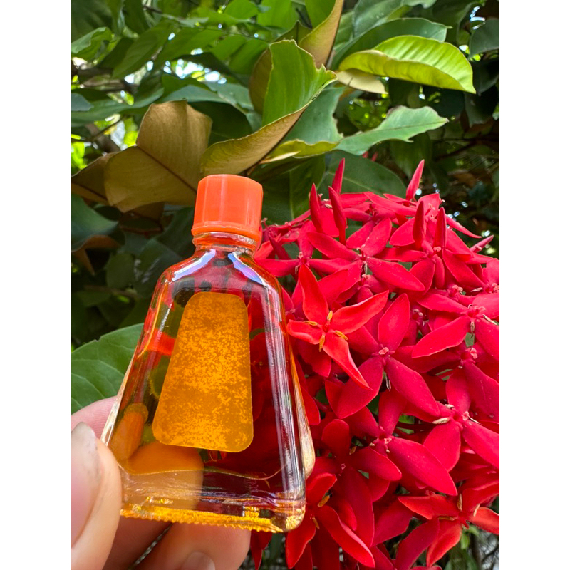 Dầu viêm xoang chai to 7ML