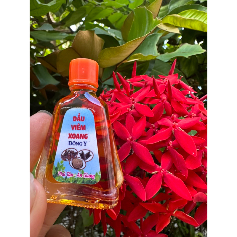 Dầu viêm xoang chai to 7ML