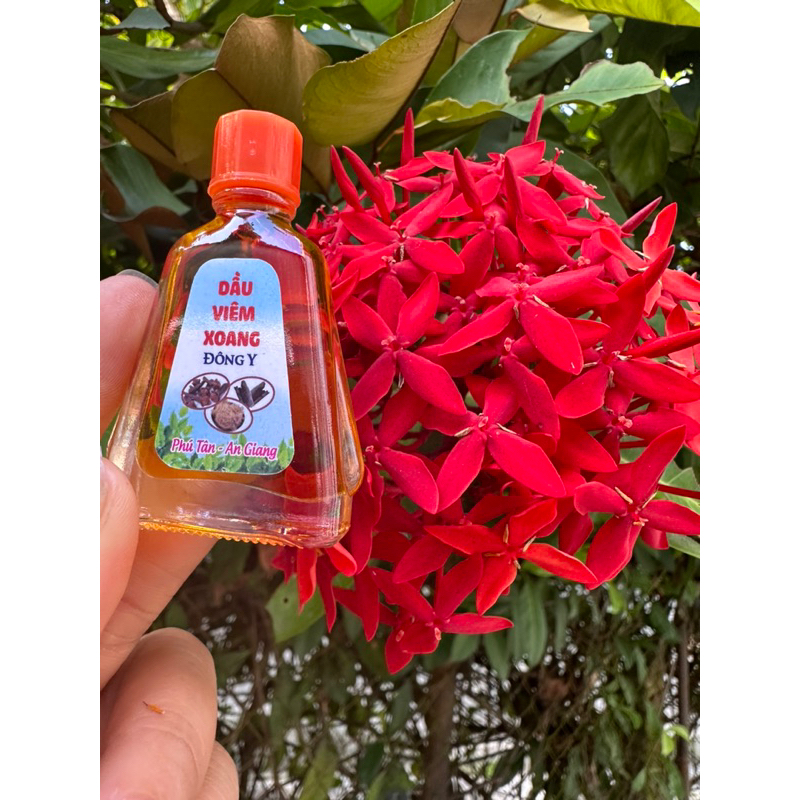 Dầu viêm xoang chai to 7ML