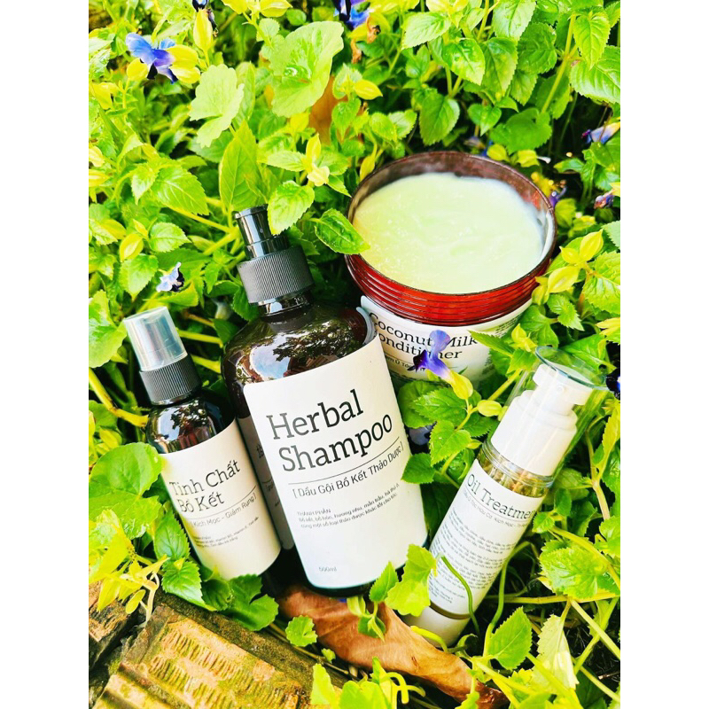 CHĂM SÓC TÓC HỮU CƠ - Cheala organic