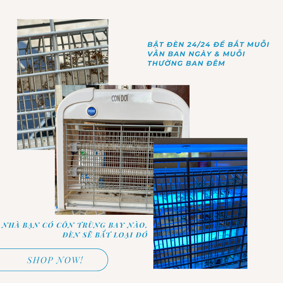Đèn diệt muỗi ruồi và các loại côn trùng Con Dơi model CN03