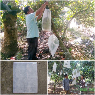 Túi lưới cước bọc mít kích thước 50x70