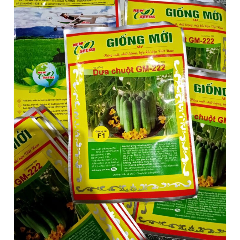 Hạt giống dưa chuột F1 GM-222 gói to 10 gam