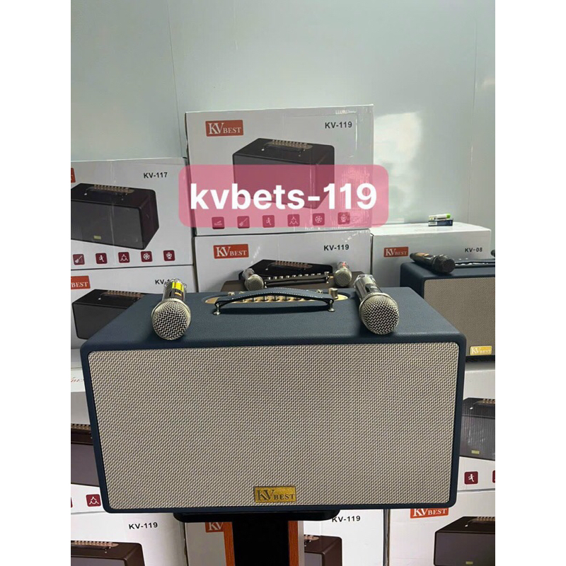 Loa karaoke xách tay chính hãng KVBest KV119