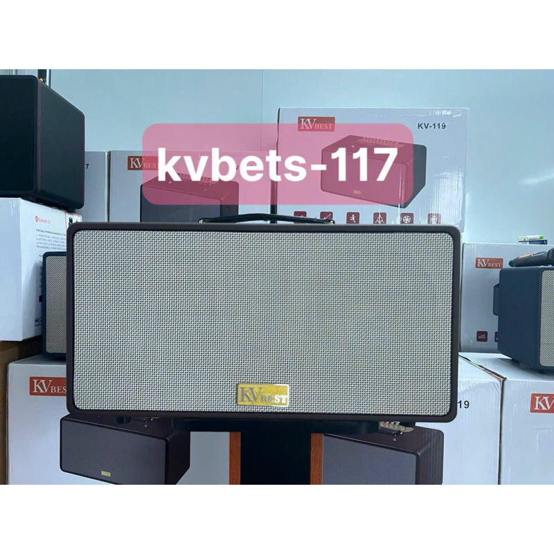 Loa karaoke xách tay chính hãng KVBest KV119