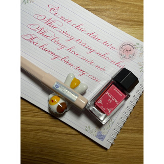 Mực Classique Pháp