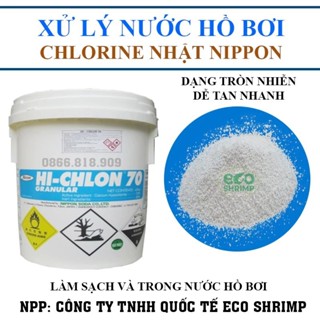 3 Kg Clo Nhật Bản - Chlorine Nippon Xử Lý Nước