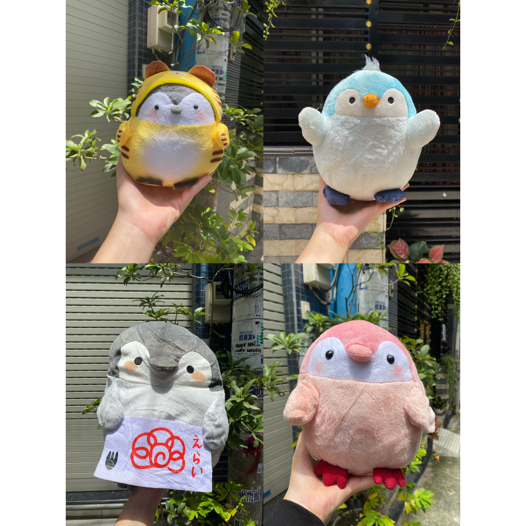 Gấu bông chim cánh cụt ( Koupen chan,...)