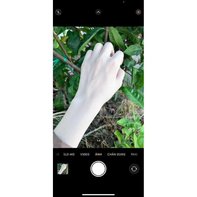 Kem Body Tẩy Mạnh 150g - Kem thấm không bết rít